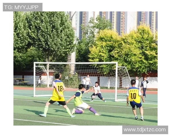 绿茵荣耀时刻足球巨星携手共庆激情赛场精彩瞬间